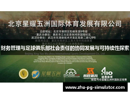 财务管理与足球俱乐部社会责任的协同发展与可持续性探索 财务管理与足球俱乐部社会责任的协同发展与可持续性探索