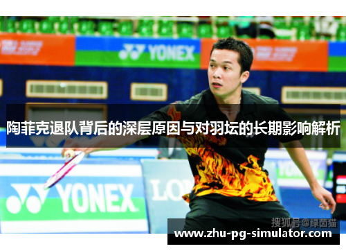 陶菲克退队背后的深层原因与对羽坛的长期影响解析 陶菲克退队背后的深层原因与对羽坛的长期影响解析