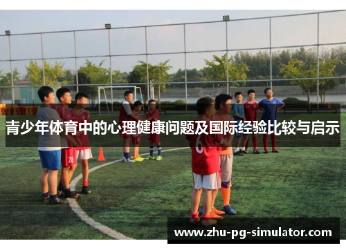 青少年体育中的心理健康问题及国际经验比较与启示 青少年体育中的心理健康问题及国际经验比较与启示