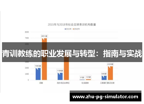 青训教练的职业发展与转型:指南与实战 青训教练的职业发展与转型:指南与实战