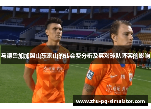 马德鲁加加盟山东泰山的转会费分析及其对球队阵容的影响 马德鲁加加盟山东泰山的转会费分析及其对球队阵容的影响